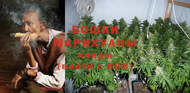 Бошки марихуана SATIVA & INDICA  Крым 